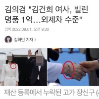 '김건희 여사, 빌린 명품 1억…외제차 수준' - 김의겸 .gisaa