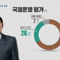 제주) 윤 긍정 26.3% 부정 66%