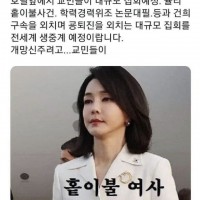 UN본부와 숙소 앞 교민들 윤 퇴진과 홑이불 여사 구속 집회 예정