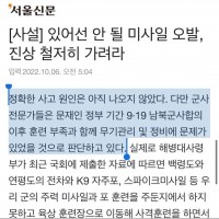 서울신문 - 잘 모르지만 미사일오발은 전정권때문
