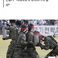 올해 국군의날 행사 연습 중 골절·인대손상 등 장병 9명 부상.gisaa
