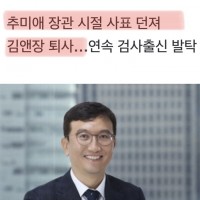단독] 윤뻐커,신임 국정원 기조실장에 (또 검새) 김남우 전 차장검사 임명