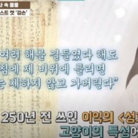 조선시대에 기록된 고양이 특성