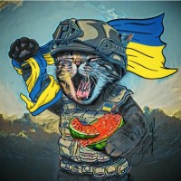 비바 우크라이나! 헤르손 해방!!!