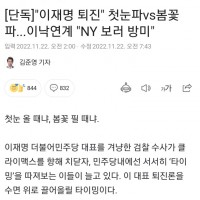[단독]'이재명 퇴진' 첫눈파vs봄꽃파...이낙연계 '…