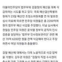 ???? ‘검수완박’도 모자라 검찰 예산 삭감까지 하는…