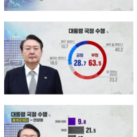 SBS 여론조사.jpg