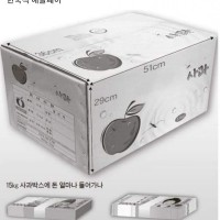 한국식 애플페이.jpg