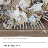 한국은행이 알려주는 돈세탁 레전드