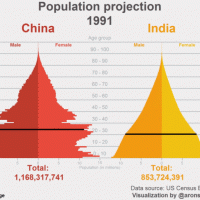 인도 인구의 위엄.GIF