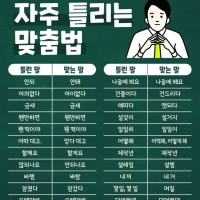 한국인들이 가장 많이 틀리는 맞춤법 모음