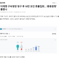 [잼갤펌] 구속영장 청구 이후 2찍 여론조작 댓글부대가 더 많이 투입되었다.