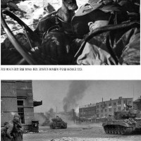 한국전쟁 당시 미 해병대 사진.jpg
