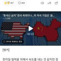 '중국산 금지' 한국 옥죄더니…미 자국 기업은 '꼼수 …