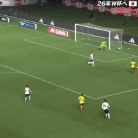 [일본 vs 콜롬비아] 라파엘 산토스 보레 미친 역전골…