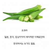 동아시아 국가중 한국에서만 안 먹는 채소.jpg