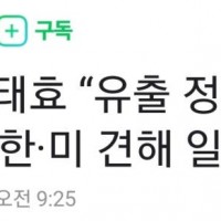 [속보] 김태효 “유출 정보 상당수 위조”