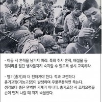 한국군의 베트남 파병 당시 교육 내용