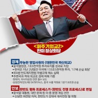 민주당이 만든 윤석열대통령 한미정상회담 요약 포스터