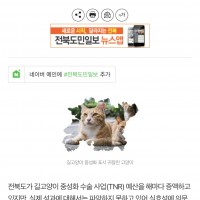 전북도, 길고양이 중성화 수술 실효성 의문… 효과도 파악 못해.news