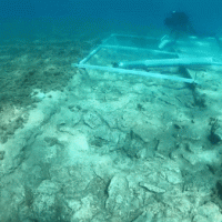 바다 밑 7000년 전 도로, 크로아티아서 발견.gif