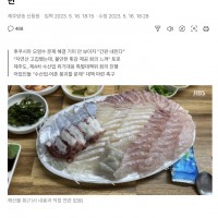 '횟집 포기합니다' 日 원전 오염수에 제주횟집 사장님 '한탄'.news