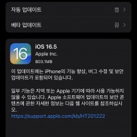 iOS 16.5 떴네요 ㅎㅎ