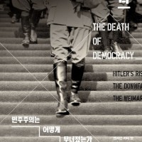 히틀러를 선택한 나라.book