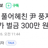 尹 풍자…작가 벌금 300만 원