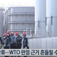오염수 방류 허용하면 일본 후쿠시마산 수산물 WTO 다시 제소 가능 / KBS