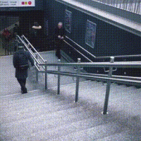 벨기에 지하철역 민폐 멍뭉이.gif
