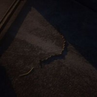 집에 뱀이 출몰했어요.