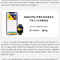 애플 개발자 사이트의 tmoney는 한국 티머니가 맞습…