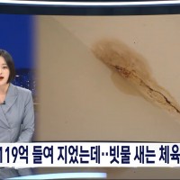 119억 들여 만든 전북 부안군의 체육관 클라쓰..