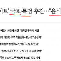 김건희 양평 게이트 '고속도로 게이트' 국조·특검 추진
