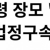 [1보] 윤 대통령 장모 '잔고증명 위조' 항소심서 법정구속