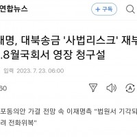 이재명, 대북송금 '인디언기우제' 재점화…8월국회서 영…
