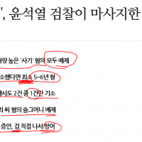 최은순 '징역 1년', 윤석열 검찰이 마사지한 면피성 …