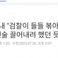이화영 아내 “검찰이 들들 볶아서 '이재명 방북' 진술…