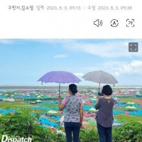 잼버리에서 텐트치고 이곳저곳 취재한 디스패치 기자