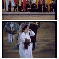 1966년 순종효황후 장례식 풍경