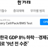 한국 GDP 8%하락. 이래도 보수가 유능하다고?