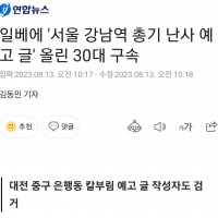 일베에 '서울 강남역 총기 난사 예고 글' 올린 30대…