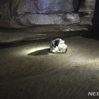 [펌] 500미터 지하동굴 탐험하는데 멍멍이 만남