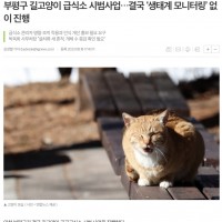 생태계 고려없는 길고양이 급식소 사업 + 일본의 캣맘등록제