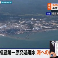 후쿠시마 오염수 방류된 바다 상황