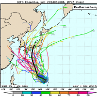 11호 태풍 후보 하이쿠이의 예측모델 상황