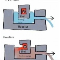 원자력 발전소에서 내보내는 냉각수와 <b class=