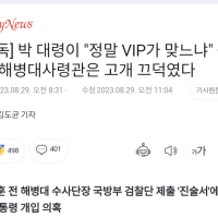 [단독] 박정훈 대령 “정말 VIP가 맞느냐”...사령관 “맞다”