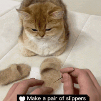 고양이 슬리퍼 만들어주기